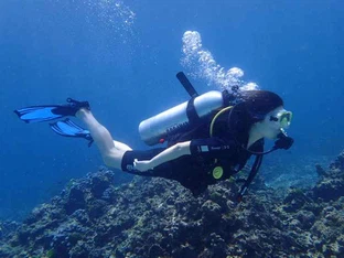 54b5c949a9942a232174e3506865af80 54b5c949a9942a232174e3506865af80